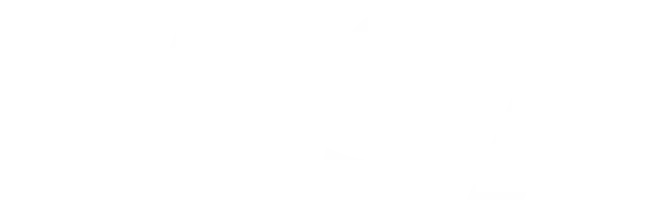 Logo visa