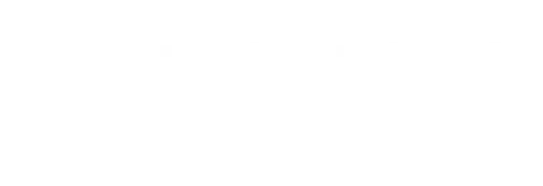 Digna Seguros